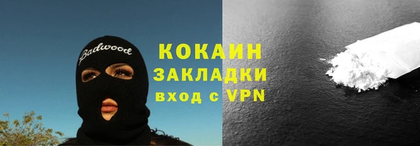 трава Магас